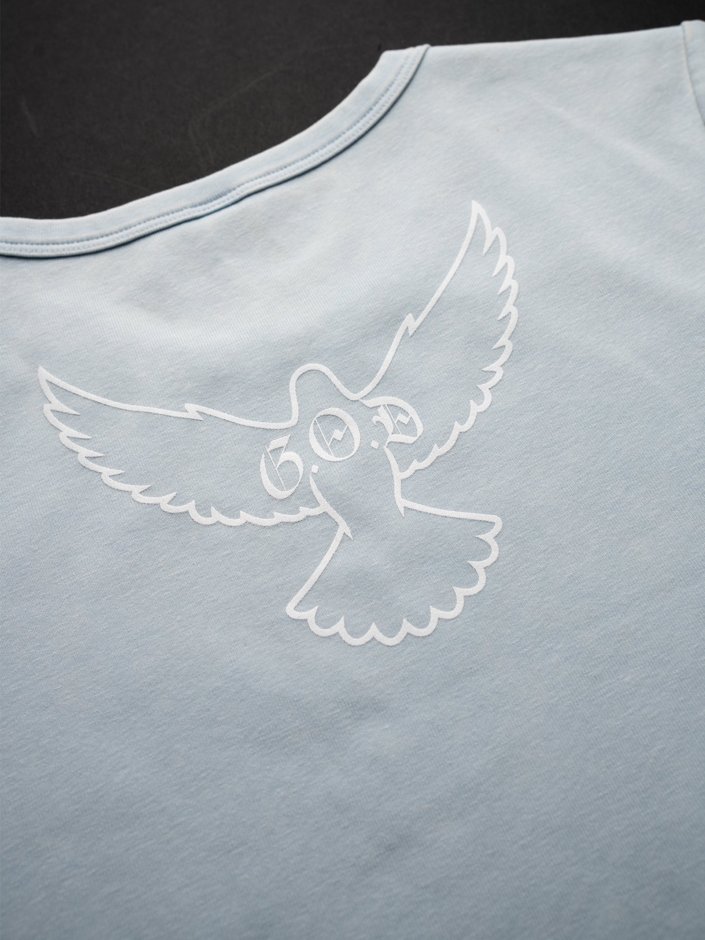 Fly Away Tank Top Light Blue